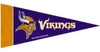 Minnesota Vikings Pennant Set Mini 8 Piece - Rico Industries
