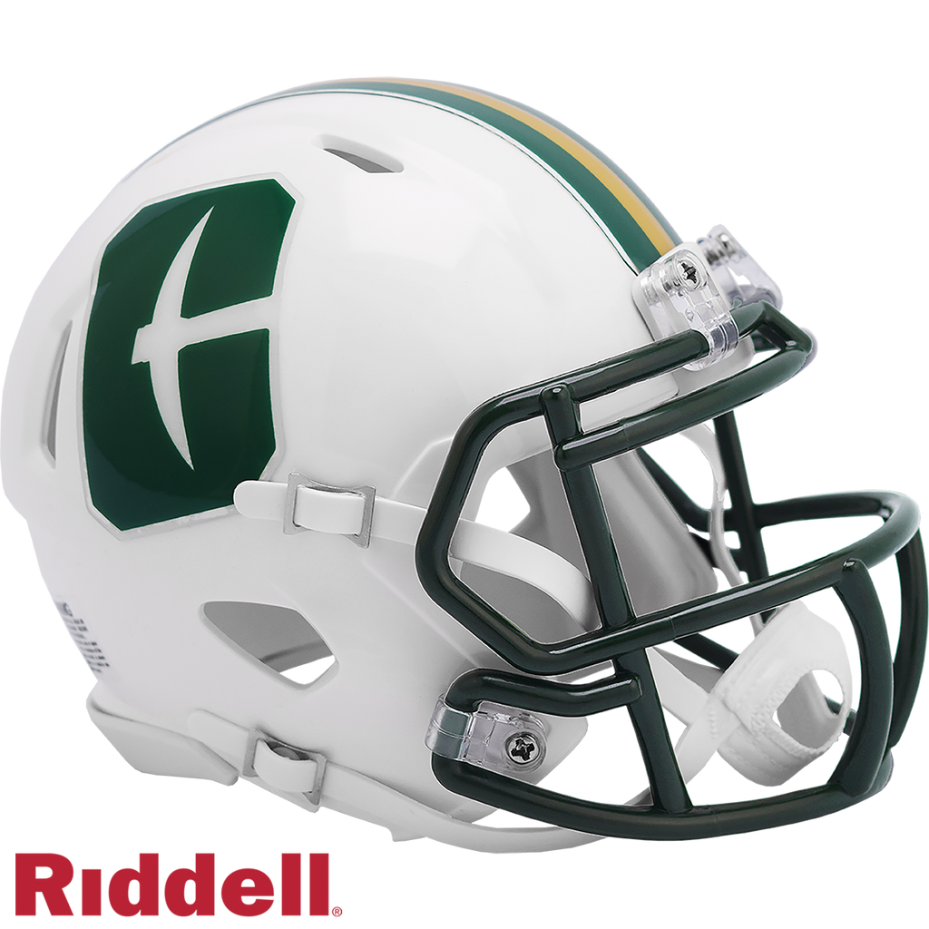 North Carolina Charlotte 49ers Helmet Riddell Replica Mini Speed Style - Riddell