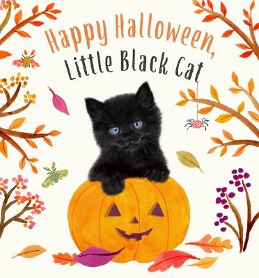 Happy Halloween, Little Black Cat: A Board Book - Amanda Wood - Harry N. Abrams