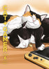 Cat + Gamer Volume 6 - Wataru Nadatani - Dark Horse Manga