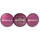 Mississippi State Bulldogs Decal Lenticular - Siskiyou