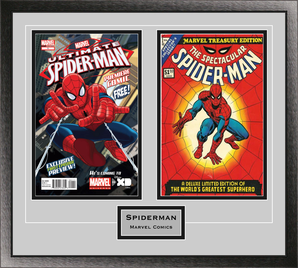 Double Comic Book Frame with Engraving in Classic Moulding