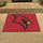 Fanmats - Saginaw Valley State University All-Star Mat 33.75''x42.5''