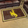 Fanmats - University of Wyoming 4x6 Rug 44''x71''