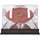 Florida Gators Mahogany Base Logo Football Display Case with Mirror Back