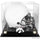 Iowa Hawkeyes Golden Classic Logo Helmet Display Case with Mirror Back