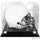 South Carolina Gamecocks Golden Classic Logo Helmet Display Case with Mirrored Back
