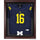 Michigan Wolverines Mahogany Framed Logo Jersey Display Case