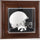 Iowa Hawkeyes Brown Framed Wall-Mountable Mini Helmet Display Case