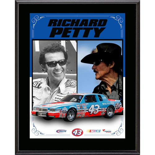Richard Petty 10.5'' x 13'' Sublimated Stylized Composite Plaque