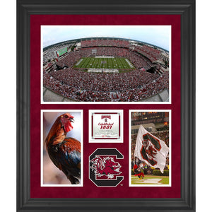 South Carolina Gamecocks Williams-Brice Stadium Framed 20'' x 24'' 3-Opening Collage