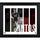 Pedro Santos D.C. United 15'' x 17'' Player Panel Collage