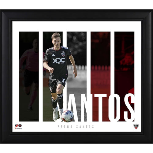 Pedro Santos D.C. United 15'' x 17'' Player Panel Collage