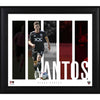 Pedro Santos D.C. United 15'' x 17'' Player Panel Collage