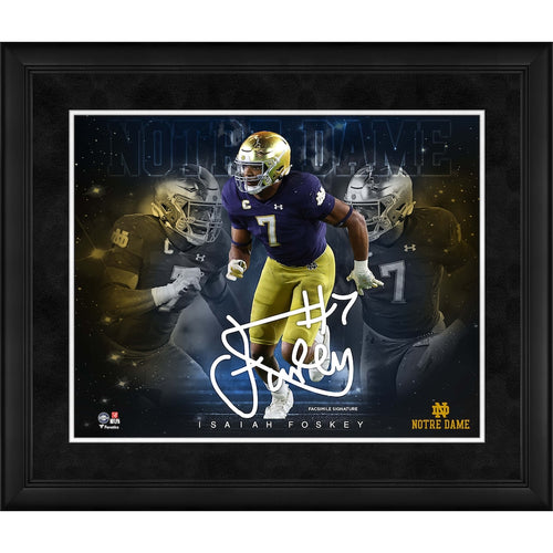 Isaiah Foskey Notre Dame Fighting Irish Framed 16'' x 20'' Stars of the Game Collage
