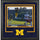 Charles Woodson Michigan Wolverines Autographed Deluxe Framed 16'' x 20'' Leaping Interception Photograph - Signature in Yellow Ink