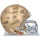Notre Dame Fighting Irish Autographed Riddell Authentic Helmet with 32 Signatures Including Joe Montana, Ara Parseghian & Jerome Bettis