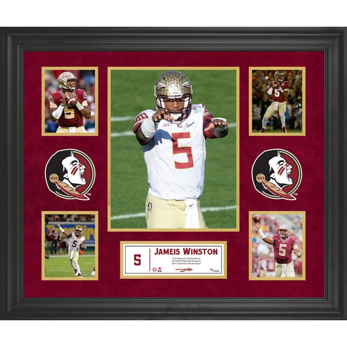Jameis Winston Florida State Seminoles Framed 23'' x 27'' 5-Photo Collage
