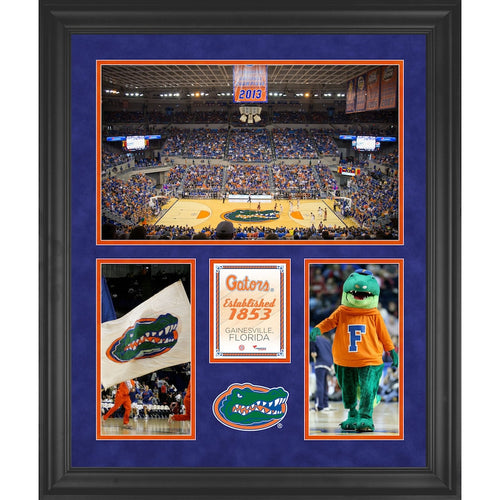 Florida Gators O'Connell Center Framed 20'' x 24'' 3-Opening Collage