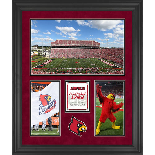 Louisville Cardinals Papa John's Cardinal Stadium Framed 20'' x 24'' 3-Opening Collage