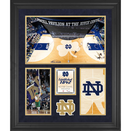 Notre Dame Fighting Irish Edmund P. Joyce Center Framed 20'' x 24'' 3-Opening Collage