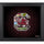 South Carolina Gamecocks Framed 15'' x 17'' Team Heritage Collage