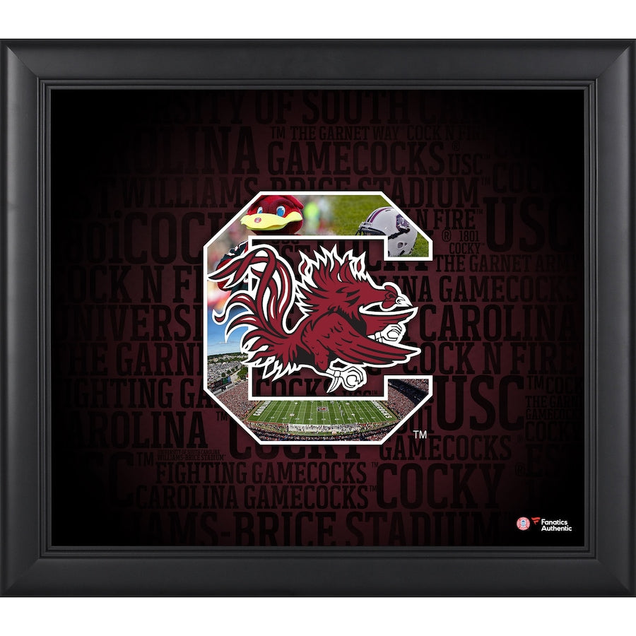 South Carolina Gamecocks Framed 15'' x 17'' Team Heritage Collage