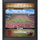 Arkansas Razorbacks Framed 15'' x 17'' Welcome Home Collage