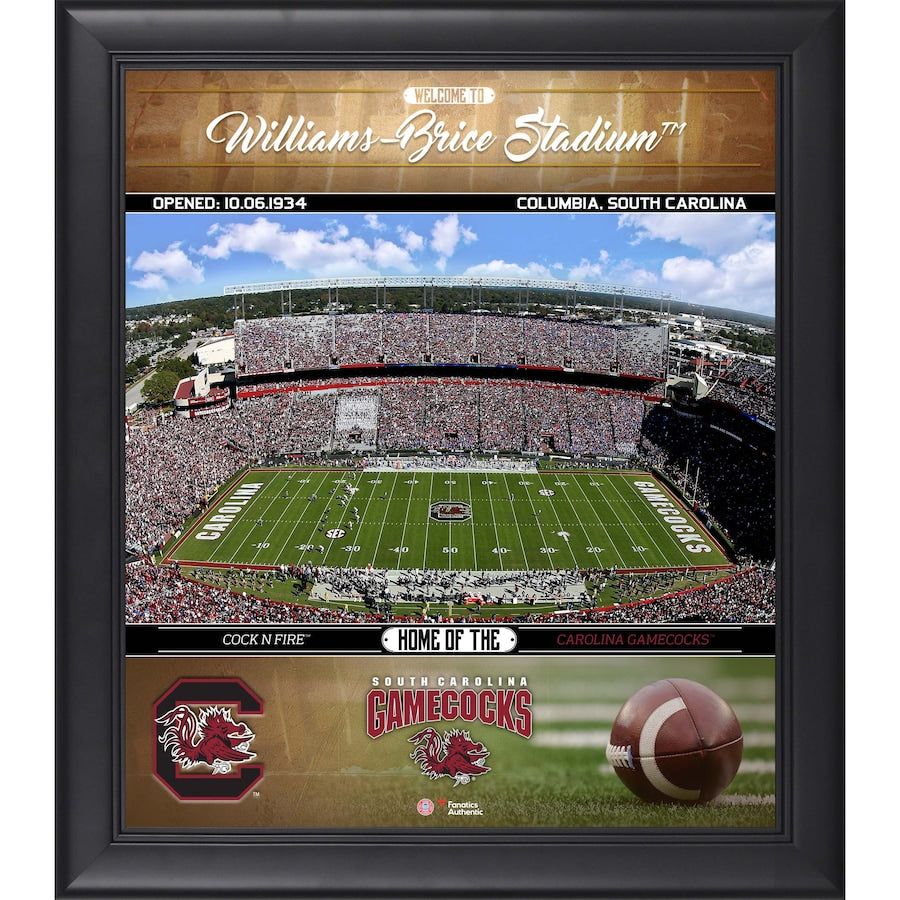 South Carolina Gamecocks Framed 15'' x 17'' Welcome Home Collage