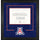 Arizona Wildcats Deluxe 8.5'' x 11'' Diploma Frame with Team Logo