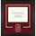 Stanford Cardinal Deluxe 8.5'' x 11'' Diploma Frame with Team Logo