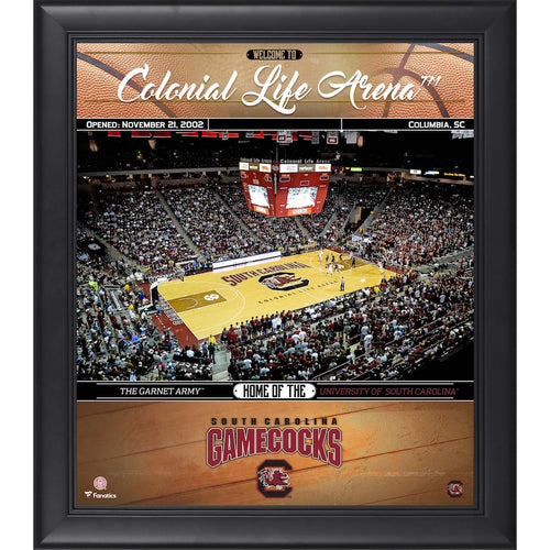 South Carolina Gamecocks Framed 15'' x 17'' Basketball Welcome Home Collage