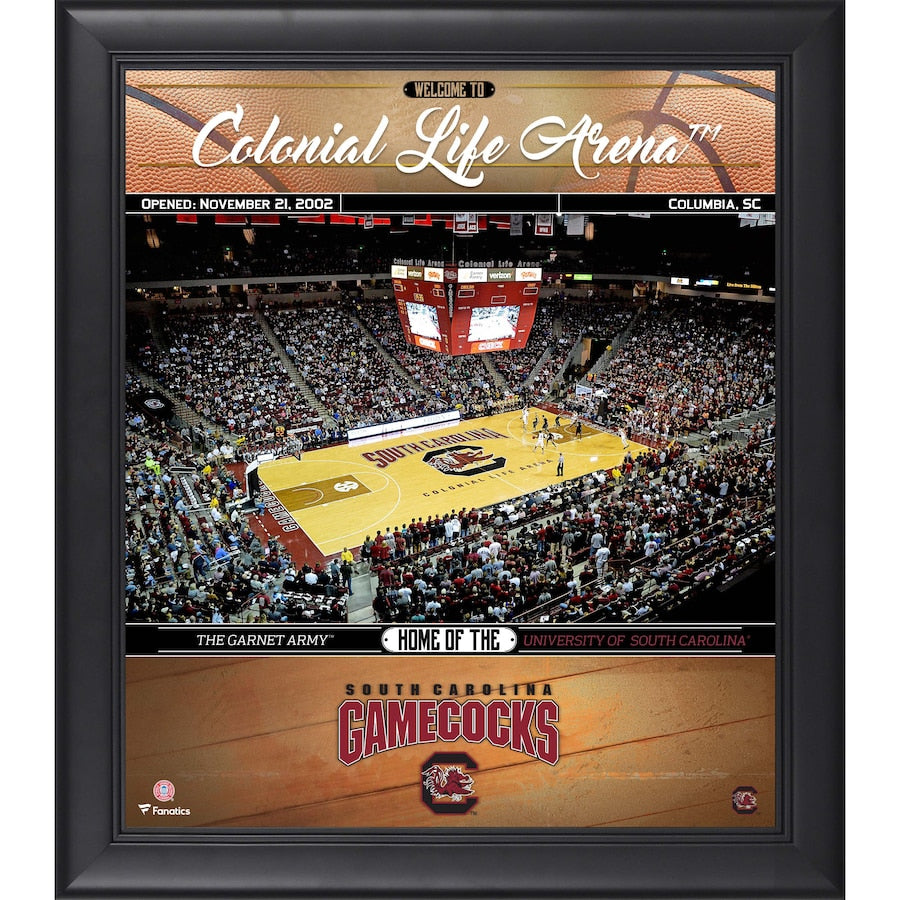 South Carolina Gamecocks Framed 15'' x 17'' Basketball Welcome Home Collage