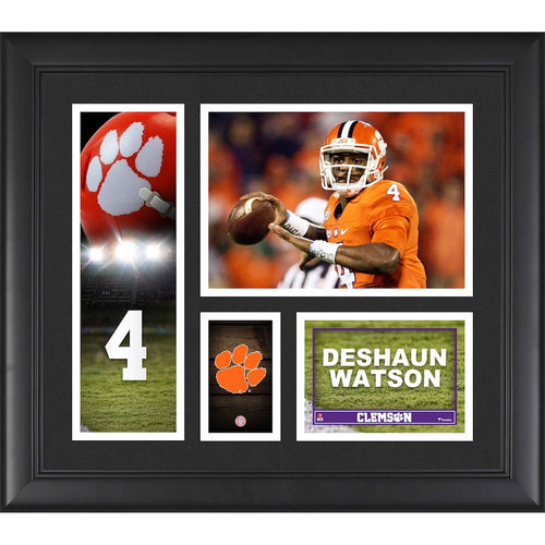 Deshaun Watson Clemson Tigers Framed 15'' x 17'' Player Collage