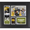 Desmond King Iowa Hawkeyes Framed 15'' x 17'' Player Collage