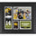 Desmond King Iowa Hawkeyes Framed 15'' x 17'' Player Collage