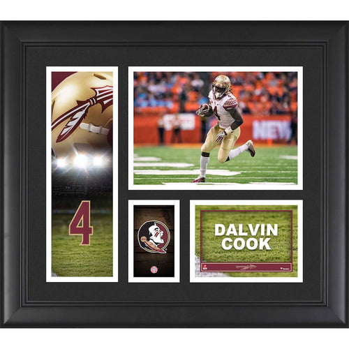 Dalvin Cook Florida State Seminoles Framed 15'' x 17'' Player Collage