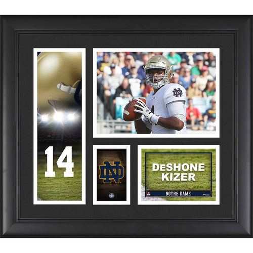 Deshone Kizer Notre Dame Fighting Irish Framed 15'' x 17'' Player Collage