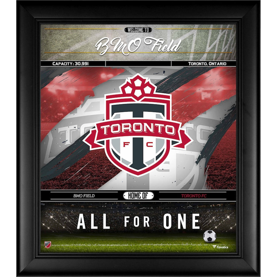 Toronto FC Framed 15'' x 17'' Welcome Home Collage