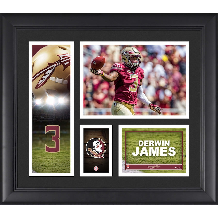 Derwin James Florida State Seminoles Framed 15'' x 17'' Player Collage