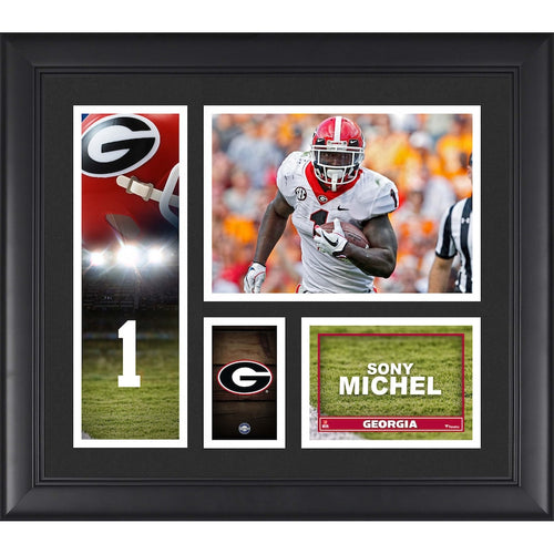 Sony Michel Georgia Bulldogs Framed 15'' x 17'' Player Collage