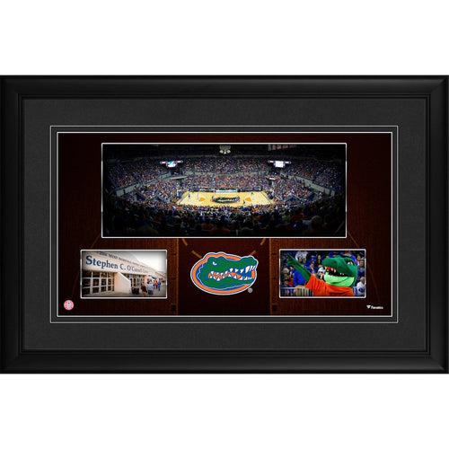 Florida Gators Framed 10'' x 18'' O'Connell Center Panoramic Collage