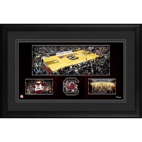 South Carolina Gamecocks Framed 10'' x 18'' Colonial Life Arena Panoramic Collage