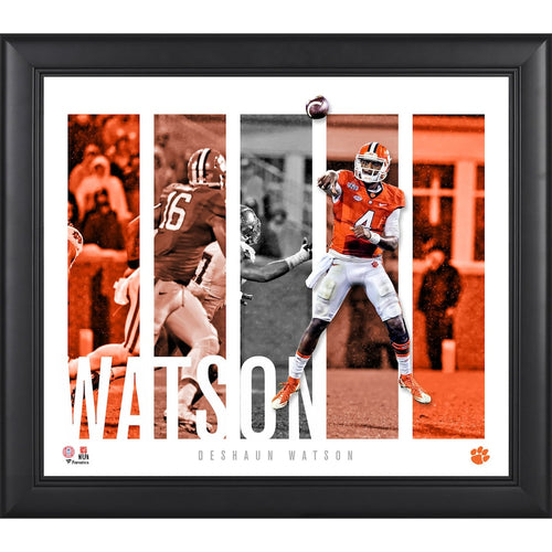 Deshaun Watson Clemson Tigers Framed 15'' x 17'' Player Panel Collage