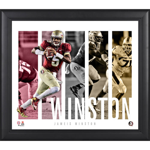 Jameis Winston Florida State Seminoles Framed 15'' x 17'' Player Panel Collage
