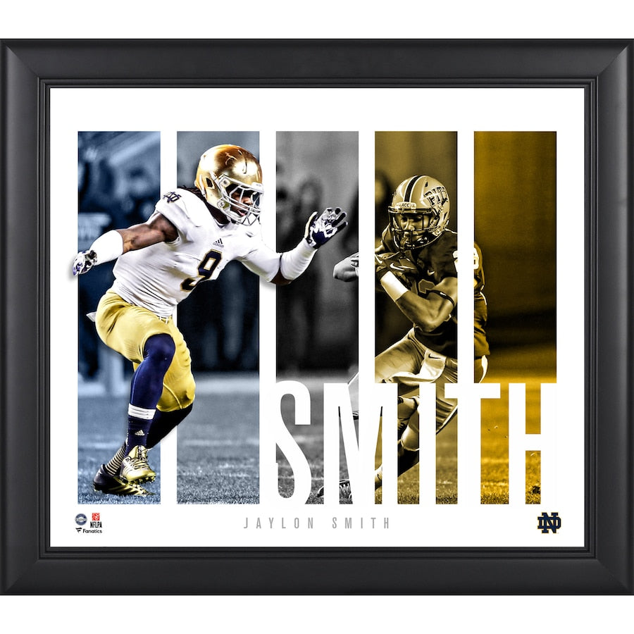 Jaylon Smith Notre Dame Fighting Irish Framed 15'' x 17'' Player Panel Collage