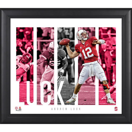 Andrew Luck Stanford Cardinal Framed 15'' x 17'' Player Panel Collage