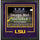 LSU Tigers Deluxe 16'' x 20'' Horizontal Photograph Frame with Team Logo