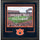 Auburn Tigers Deluxe 16'' x 20'' Horizontal Photograph Frame with Team Logo