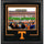 Tennessee Volunteers Deluxe 16'' x 20'' Horizontal Photograph Frame with Team Logo